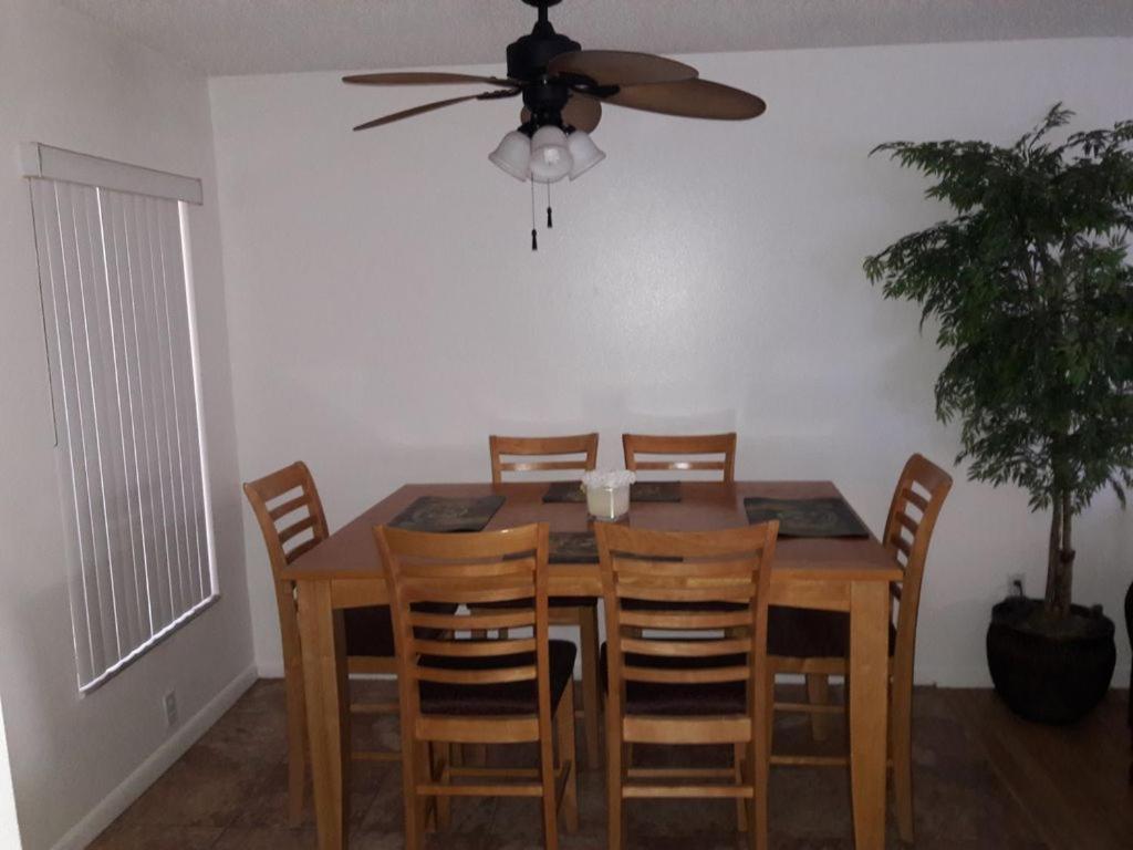 Florida Condos On Lake Tarpon 팜하버 외부 사진
