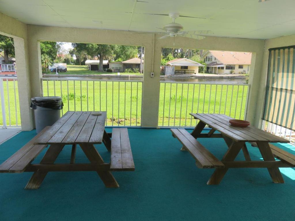 Florida Condos On Lake Tarpon 팜하버 외부 사진
