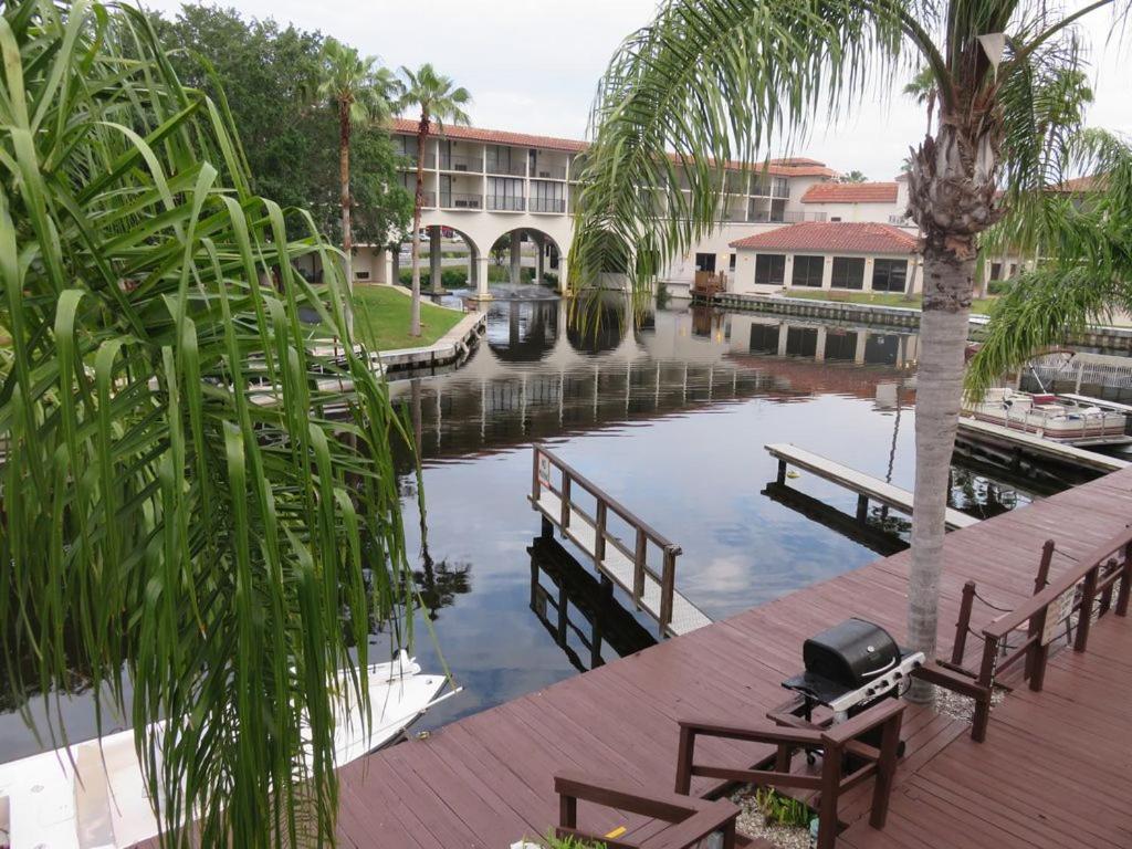 Florida Condos On Lake Tarpon 팜하버 외부 사진
