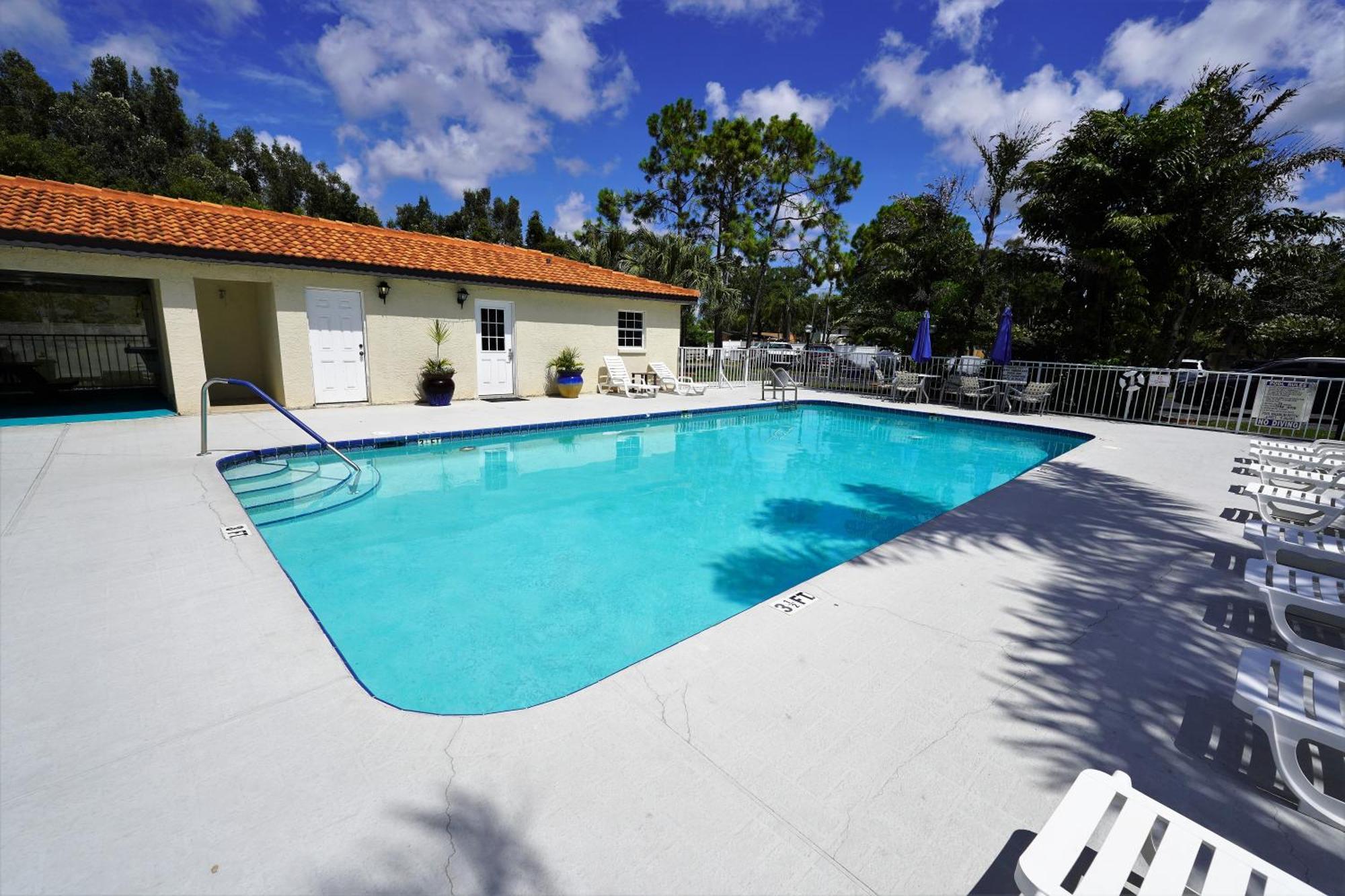 Florida Condos On Lake Tarpon 팜하버 외부 사진