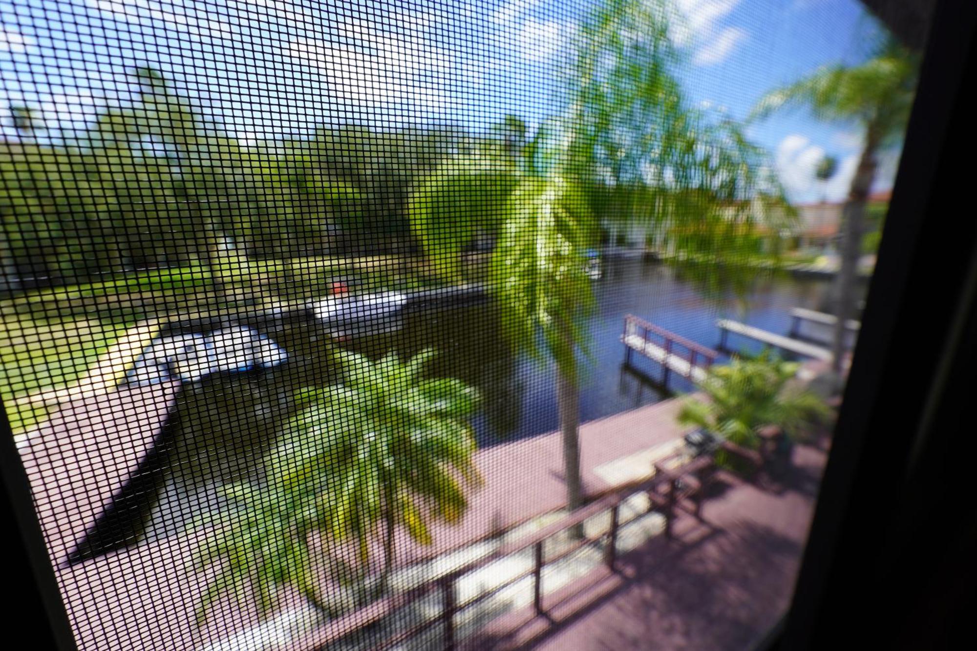 Florida Condos On Lake Tarpon 팜하버 외부 사진