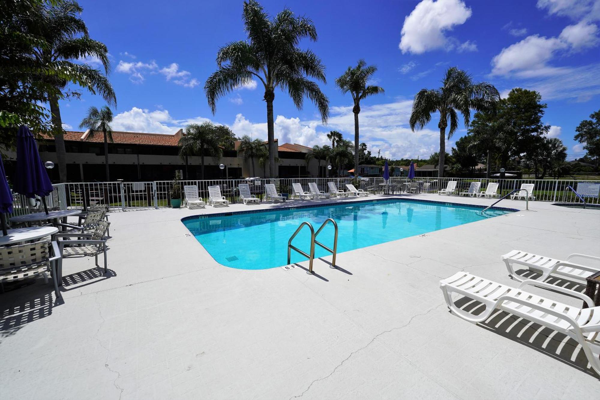 Florida Condos On Lake Tarpon 팜하버 외부 사진