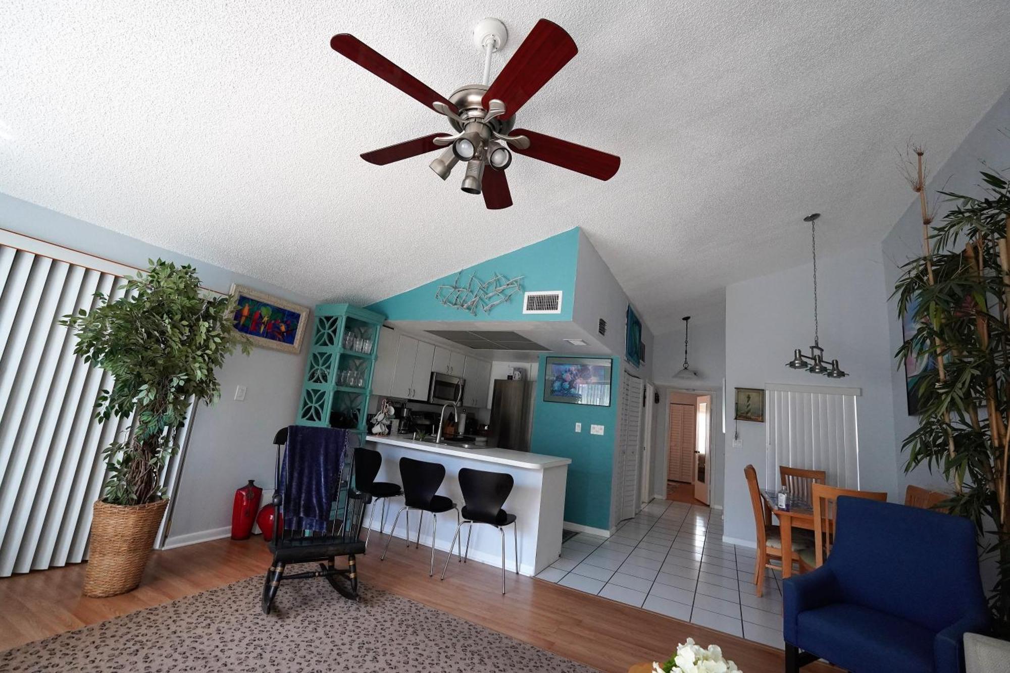 Florida Condos On Lake Tarpon 팜하버 외부 사진