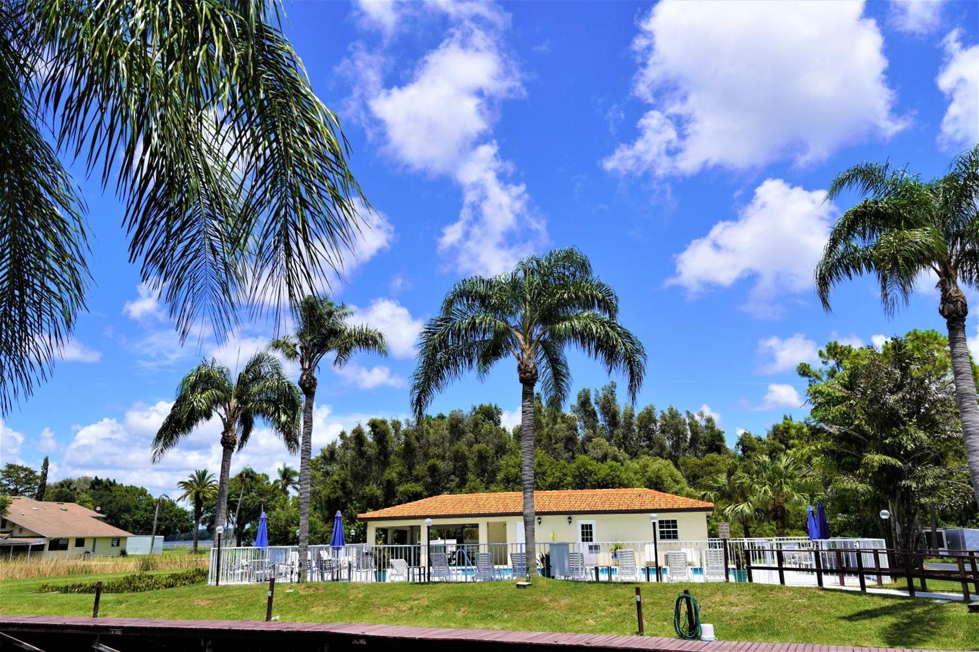 Florida Condos On Lake Tarpon 팜하버 외부 사진
